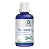 Taraxacum image 1
