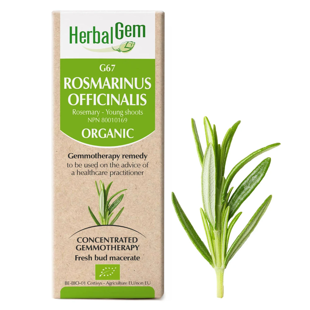 G67 - Rosmarinus Officinalis Image