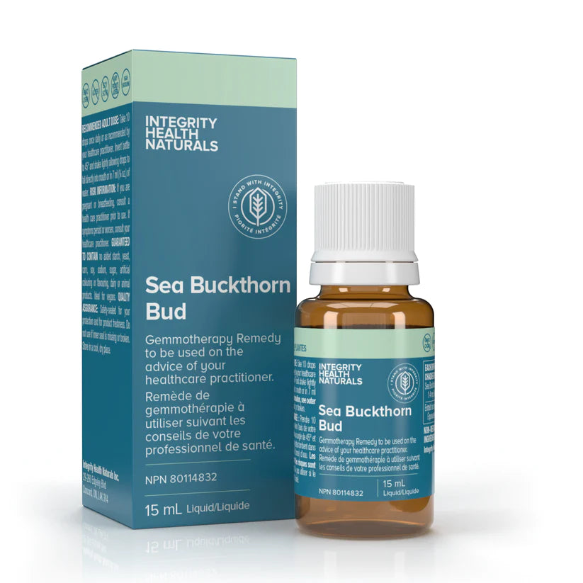 Sea Buckthorn Bud - Hippophae rhamnoides