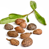 Beurre de karité image 2