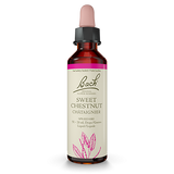 Sweet Chestnut image 1