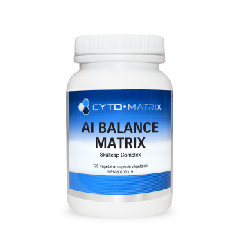 PROMO - AI Balance Matrix