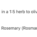 Huile d'arnica image 3