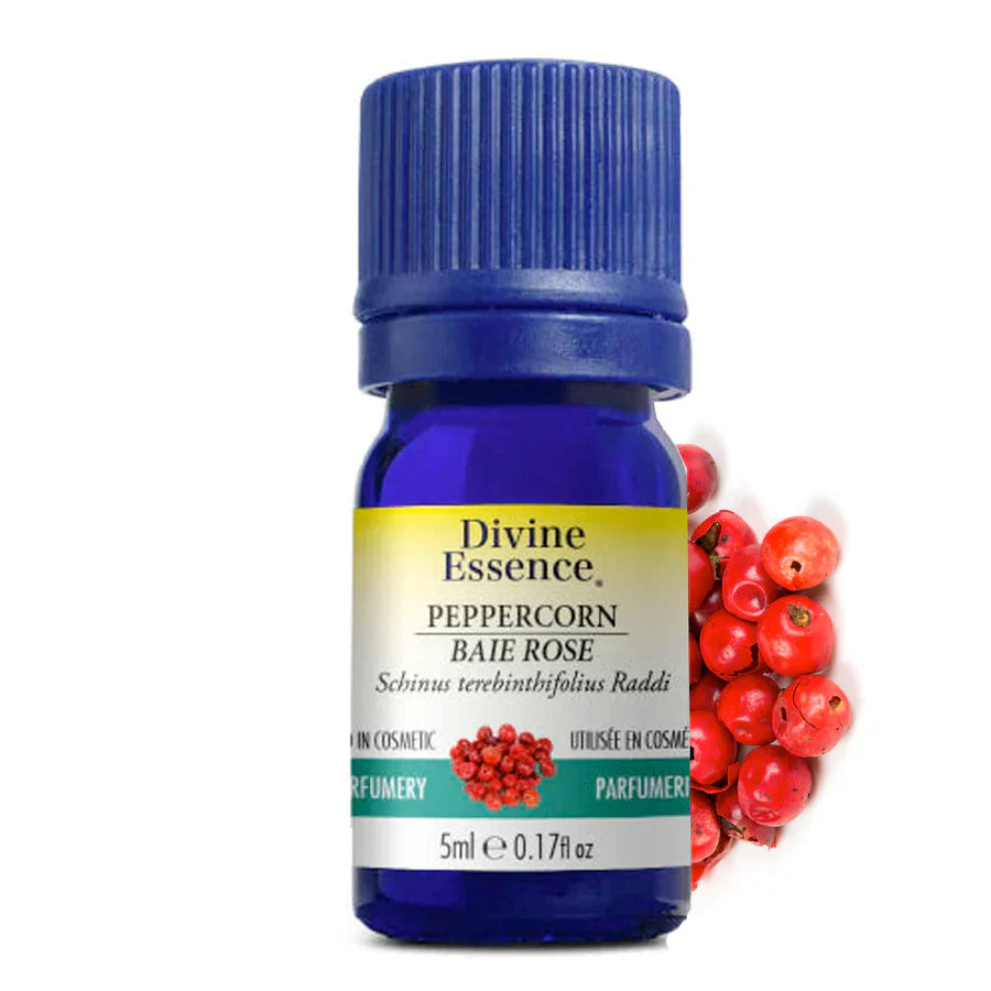 Baie rose conventionnelle Image