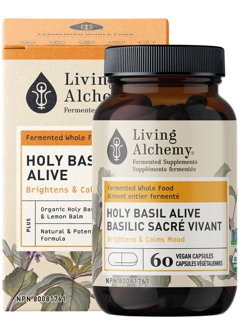 Basilic Sacré Vivant
