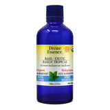 Tropical Basil Organic image 2