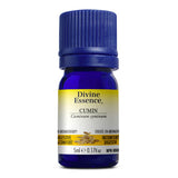 Cumin Conv. image 1