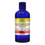 Eucalyptus Citronné Bio. image 2