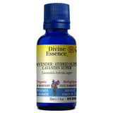 Lavander Hybrid Super Organic image 2