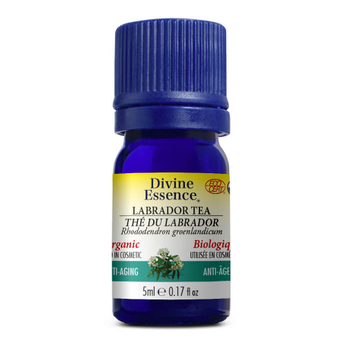 Labrador tea - Organic 