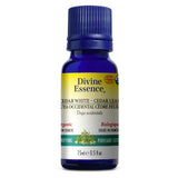 Thuya Occidental (Cèdre feuille) Bio. image 1