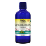 Thuya Occidental (Cèdre feuille) Bio. image 2