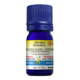 Ylang ylang totum (Complète) Bio. image 1