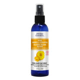 Hélichryse Italienne Bio. image 1