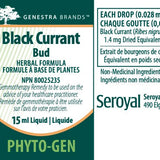 Black Currant Bud image 2