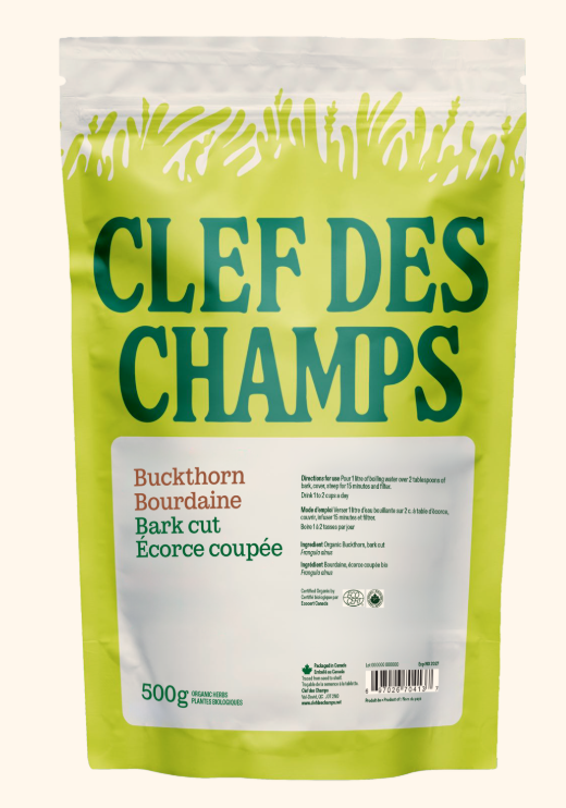 Bourdaine - Écorce coupée Image