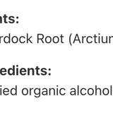 Burdock Root image 3