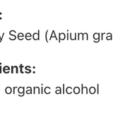 Graine de céleri image 3