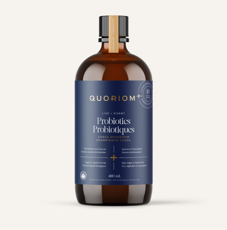 Chaga Probiotiques liquides Image