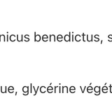 Chardon béni image 2