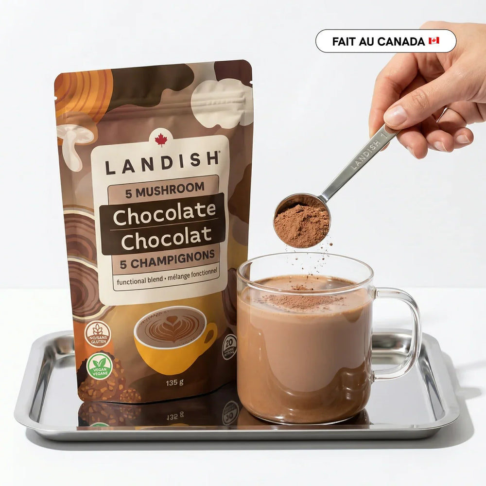 Chocolat Chaud aux 5 Champignons Image