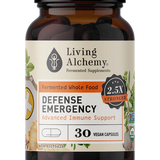 Defense Emergency image 1