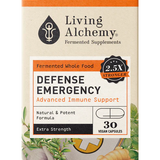 Defense Emergency image 3