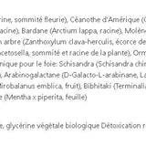 Detox 4 saisons image 2