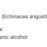 Échinacée à feuilles étroites image 3