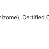 Échinacée-hydraste image 3