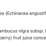 Échinacée plus Enfants au Sureau image 3