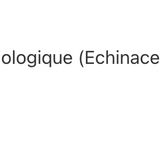 Échinacée à feuilles étroites image 2