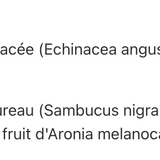 Échinacée plus Enfants au Sureau image 2