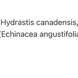 EchinaSealMD image 3