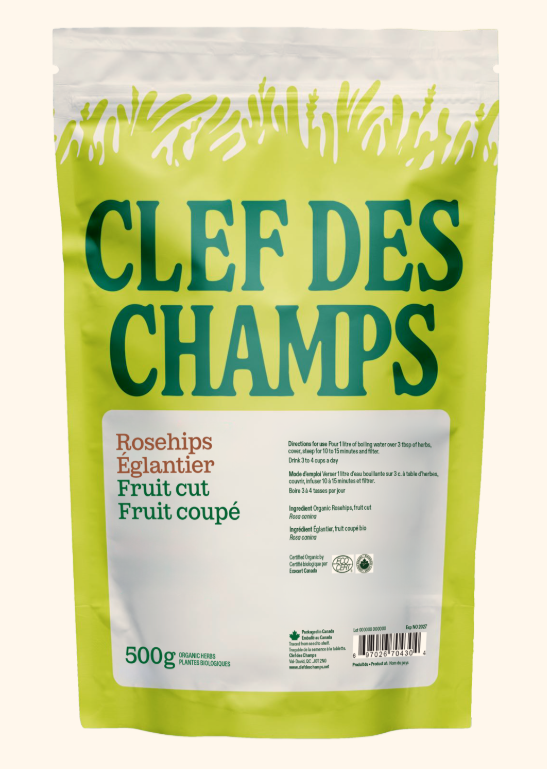 Églantier - Fruit coupé Image