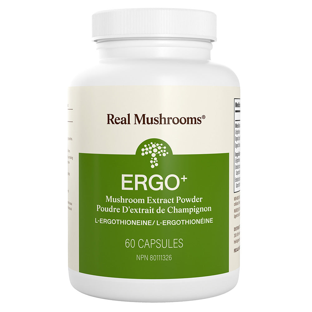 Ergo+ Image