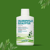 Chlorophylle Liquide image 2