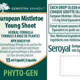 European Mistletoe Young Shoot image 2