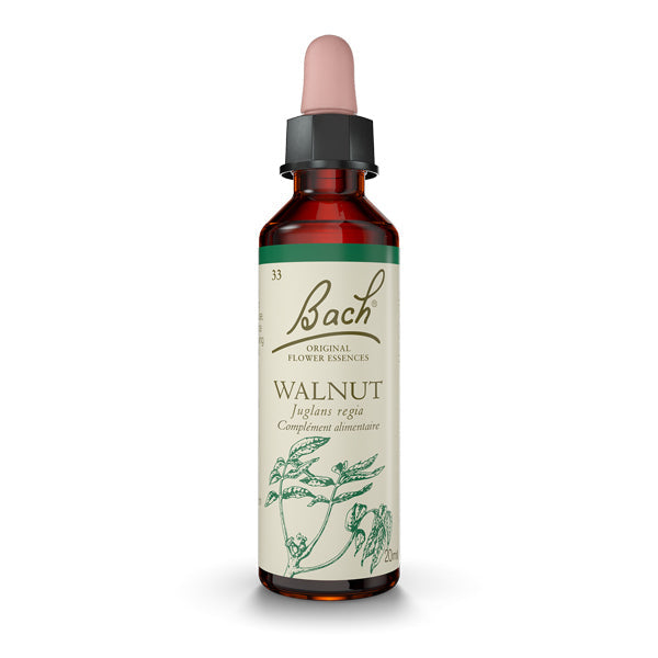 Walnut - Noyer Image