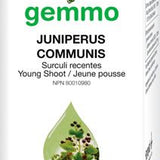 Juniperus Communis image 1