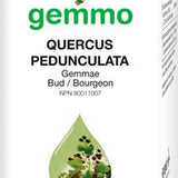 Quercus Pedunculata image 1