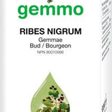 Ribes Nigrum image 1