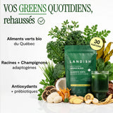 Aliments verts (Greens) mélange adaptogène image 4