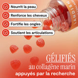 Gélifiés au collagène marin image 6