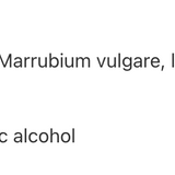 Marrube blanc image 3