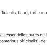 Huile pour les seins image 2