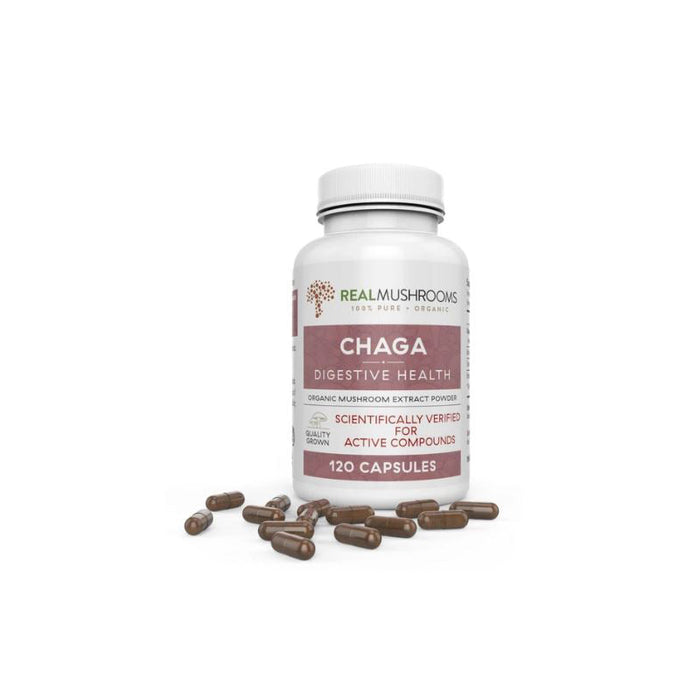 Chaga Extract