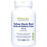 Yellow Dock Root image 1