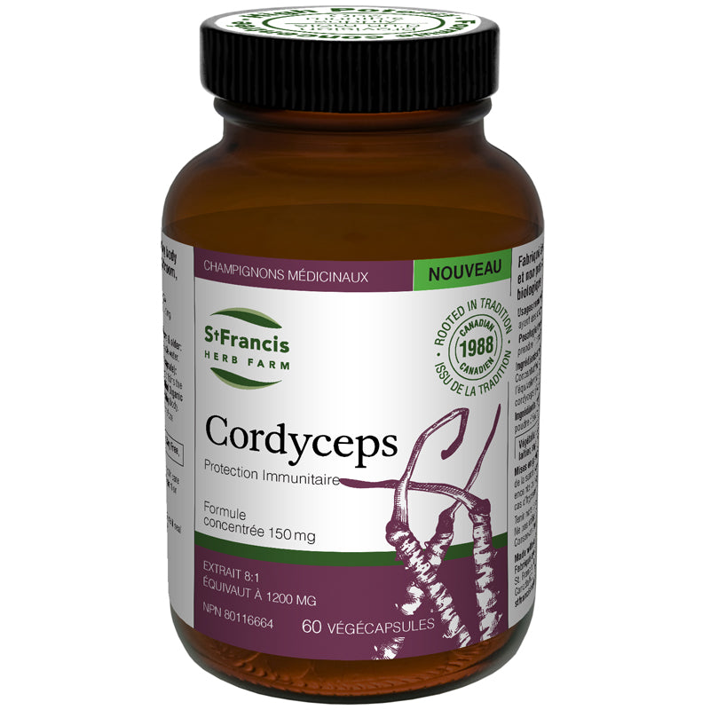 Cordyceps végécaps (Extrait 8:1) Image