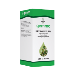 Ilex aquifolium  Image